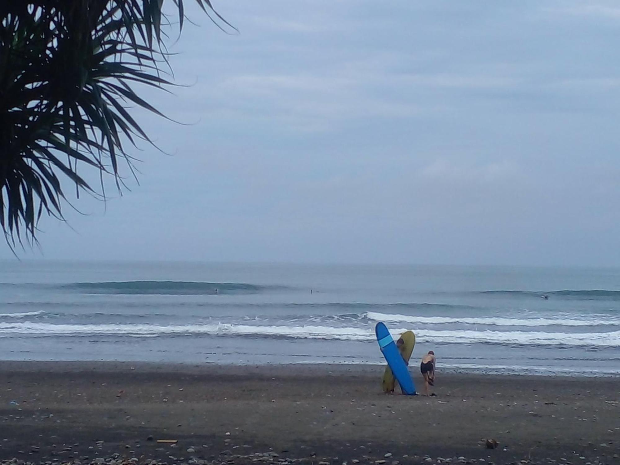 Medewi Good Vibes Stay&Surf Jembrana Exterior foto