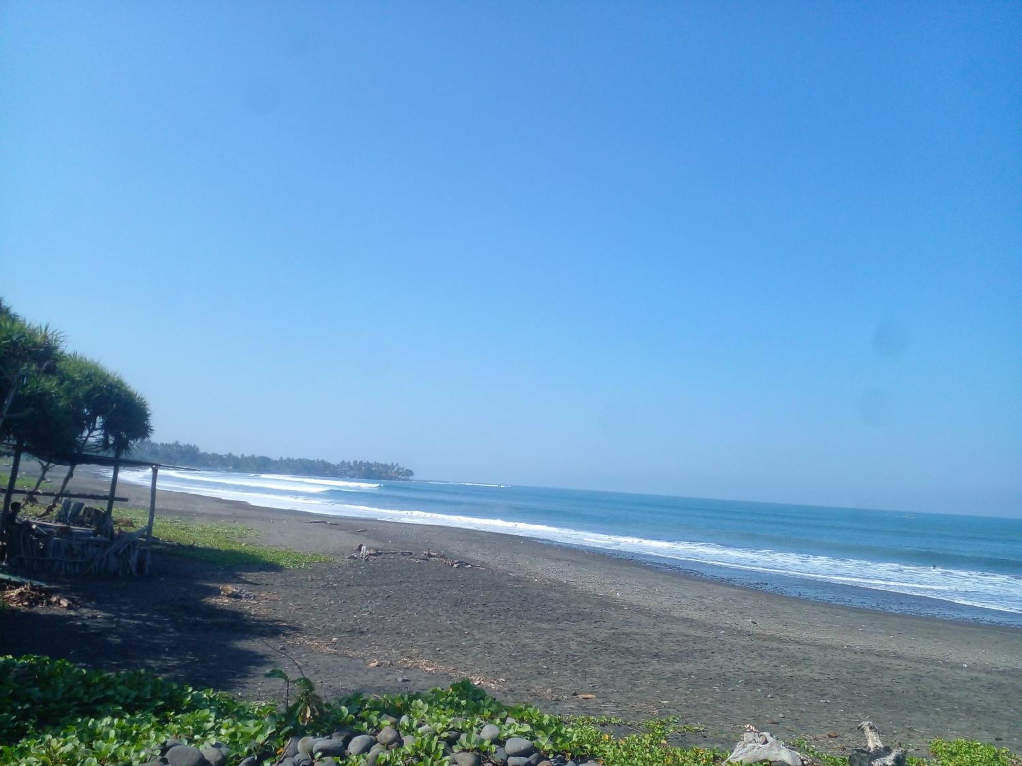 Medewi Good Vibes Stay&Surf Jembrana Exterior foto